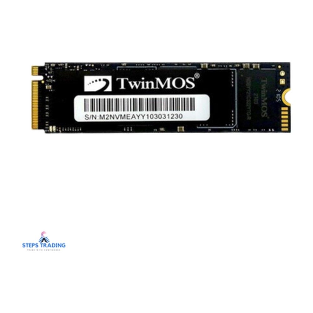 Ssd 256Go M2 TwinMos